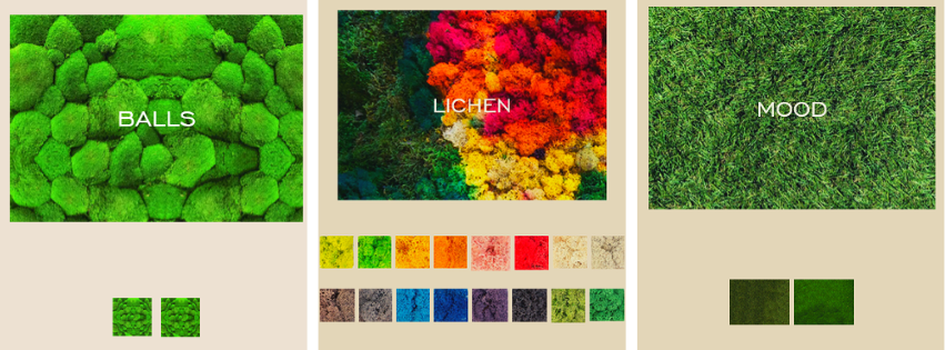 Bring the Outdoors In: RIVA Spain Living Moss Walls Are Here — and Blackstone Has DFW Exclusive Access!