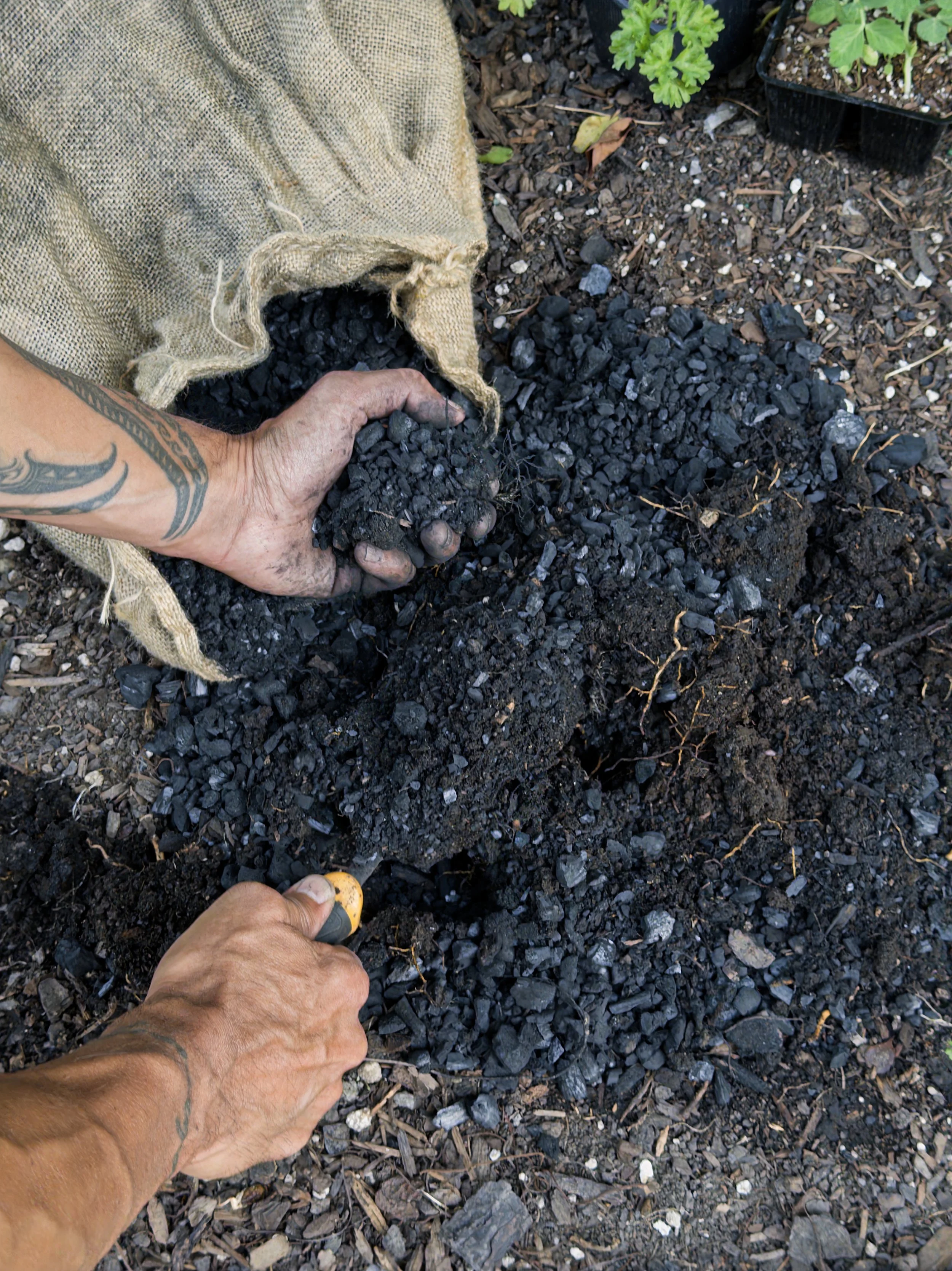 Plain Biochar