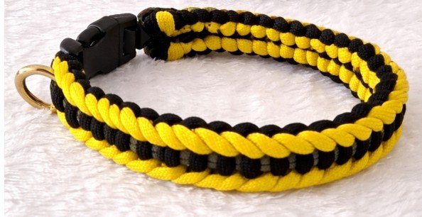 Fire and Ice BY.png.jpg