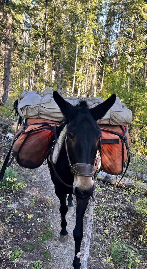 Haulin’ out of Hall — LIVin Life