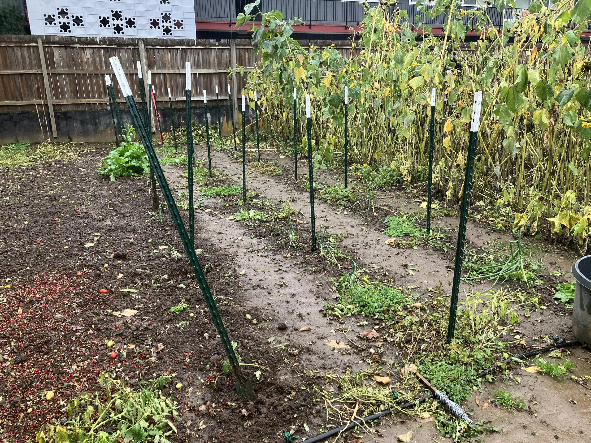 Friday Farm Work Party