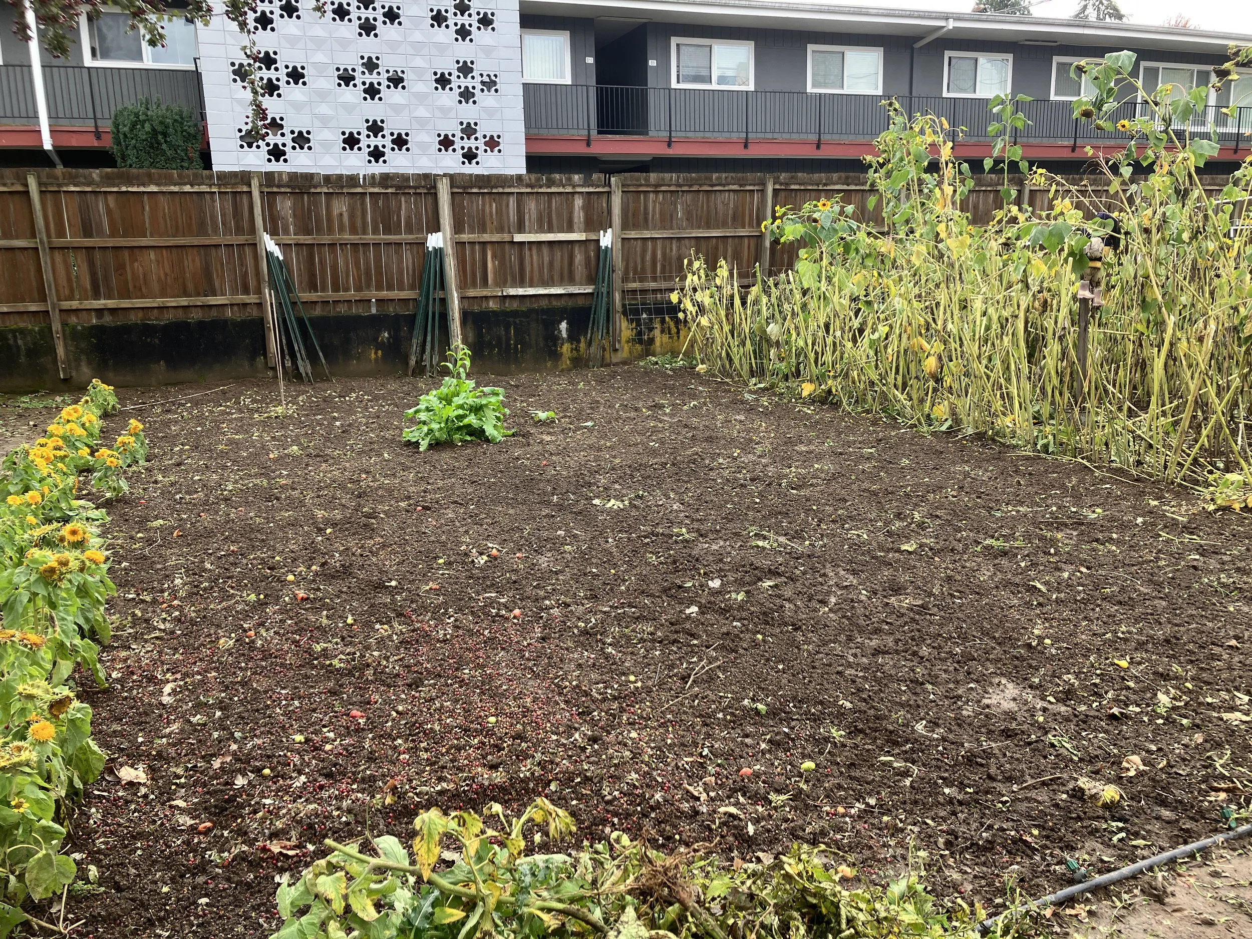 Wednesday Farm Work Party