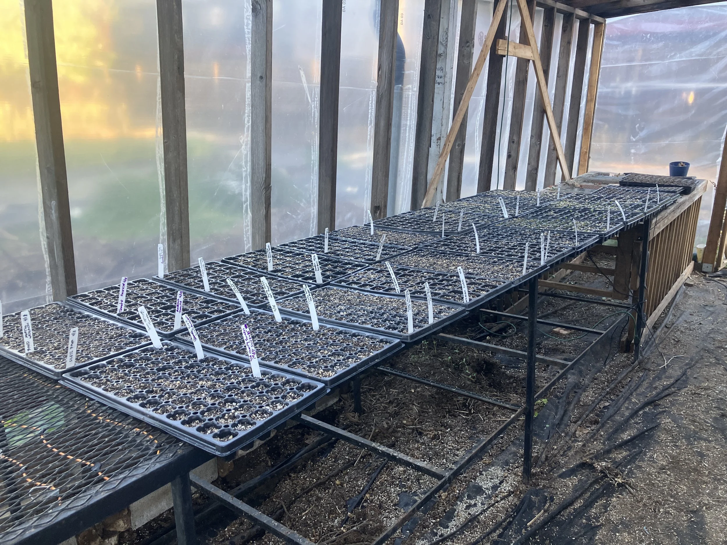 Wednesday Farm Work Party