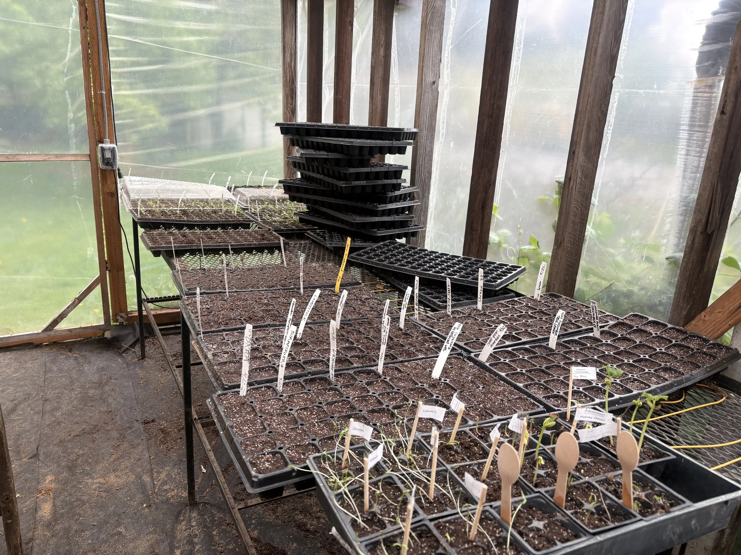 Wednesday Farm Work Party