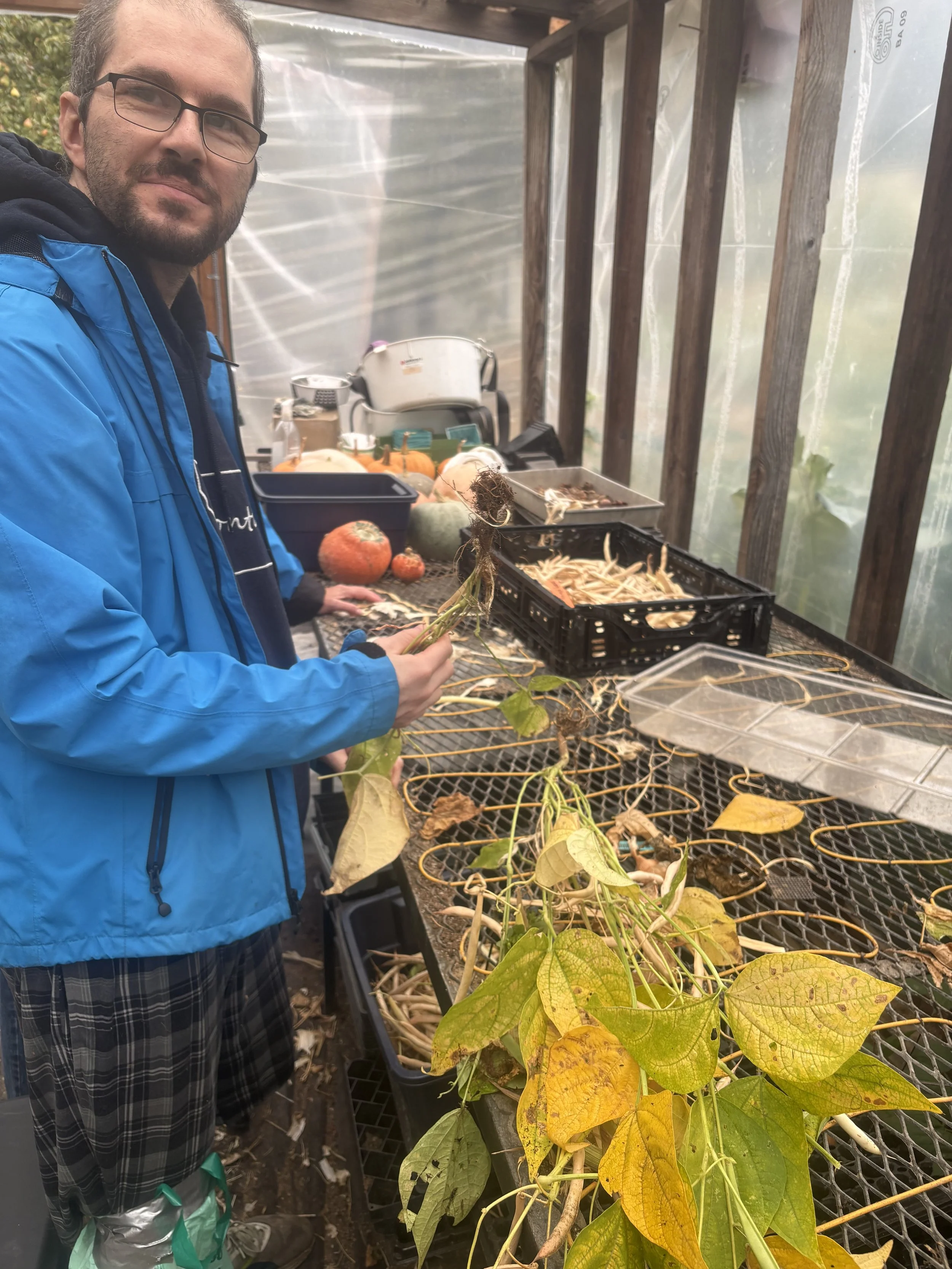 Wednesday Farm Work Party