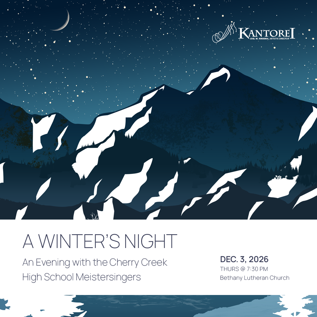 Snowy mountains at night