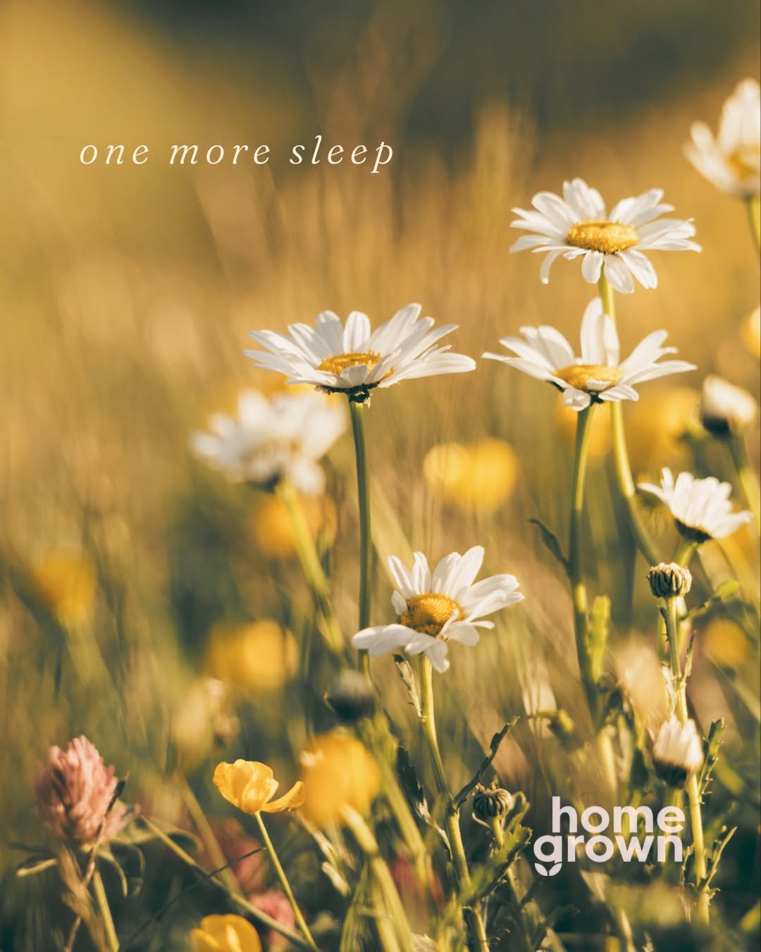 🌼 TOMORROW! 🌼

It's almost here, friend! We can't wait to see you at Homegrown tomorrow!

Doors open at 9 a.m. and you'll have plenty of time to check in before things get underway at 9:30.

Grab a breakfast snack and coffee, find a seat and a frie