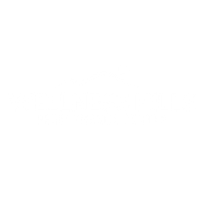 Recovery Sponsor Wellness Hills Performance