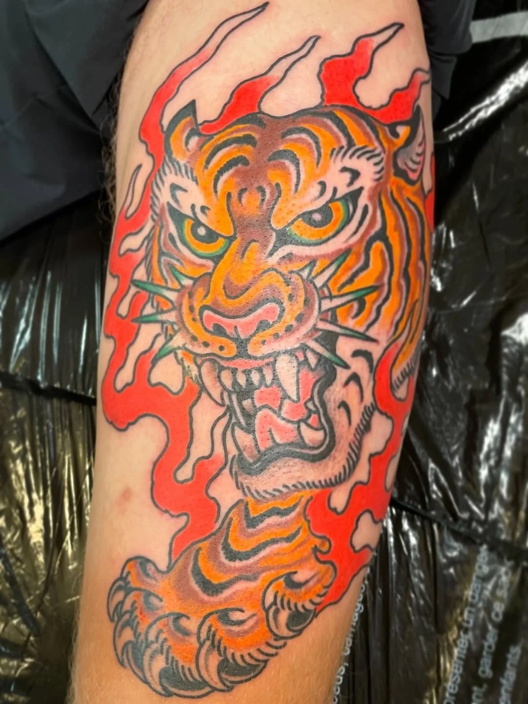 Big cat by Fern! He is in the shop Tues &amp; Wed, Sat &amp; Sun and works by appointment only. Call the shop or email him directly to book! 
☎️ 415-431-2100
📧 fernology1@gmail.com