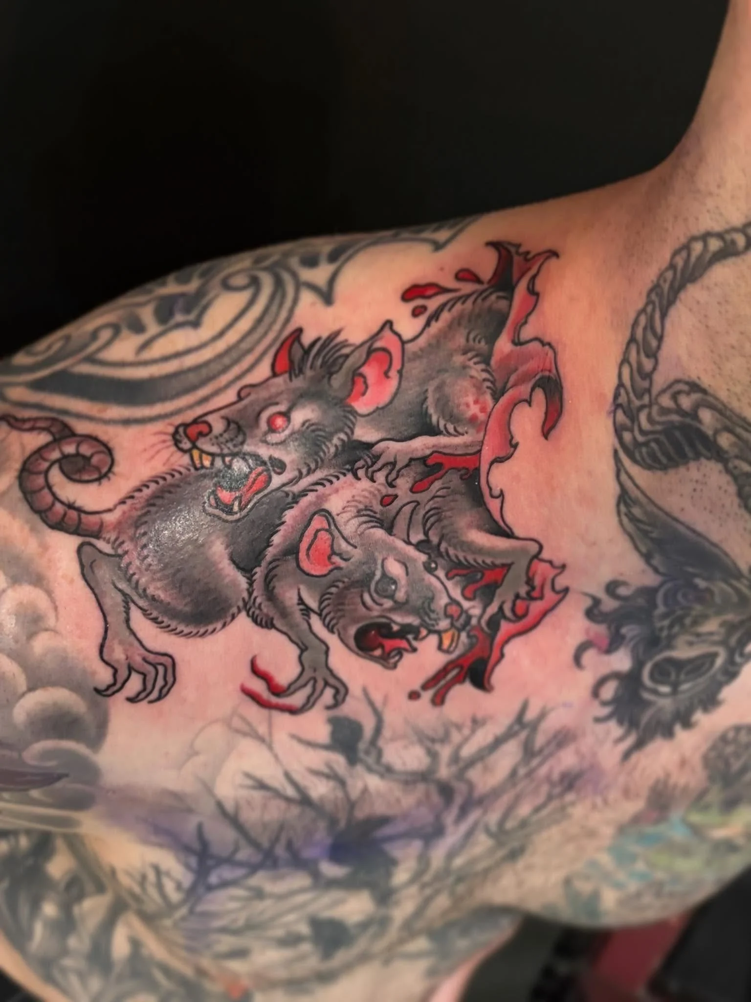 Double collarbone skin rips rats by @jeffrassier 🐀

Jeff is at Black Heart Tattoo Thursdays &ndash; Saturdays 

Link in bio to book, call, or email.

#sanfranciscotattooartist #sftattoo #bayareatattooartist #sanfranciscotattoo #missiondistrictsf