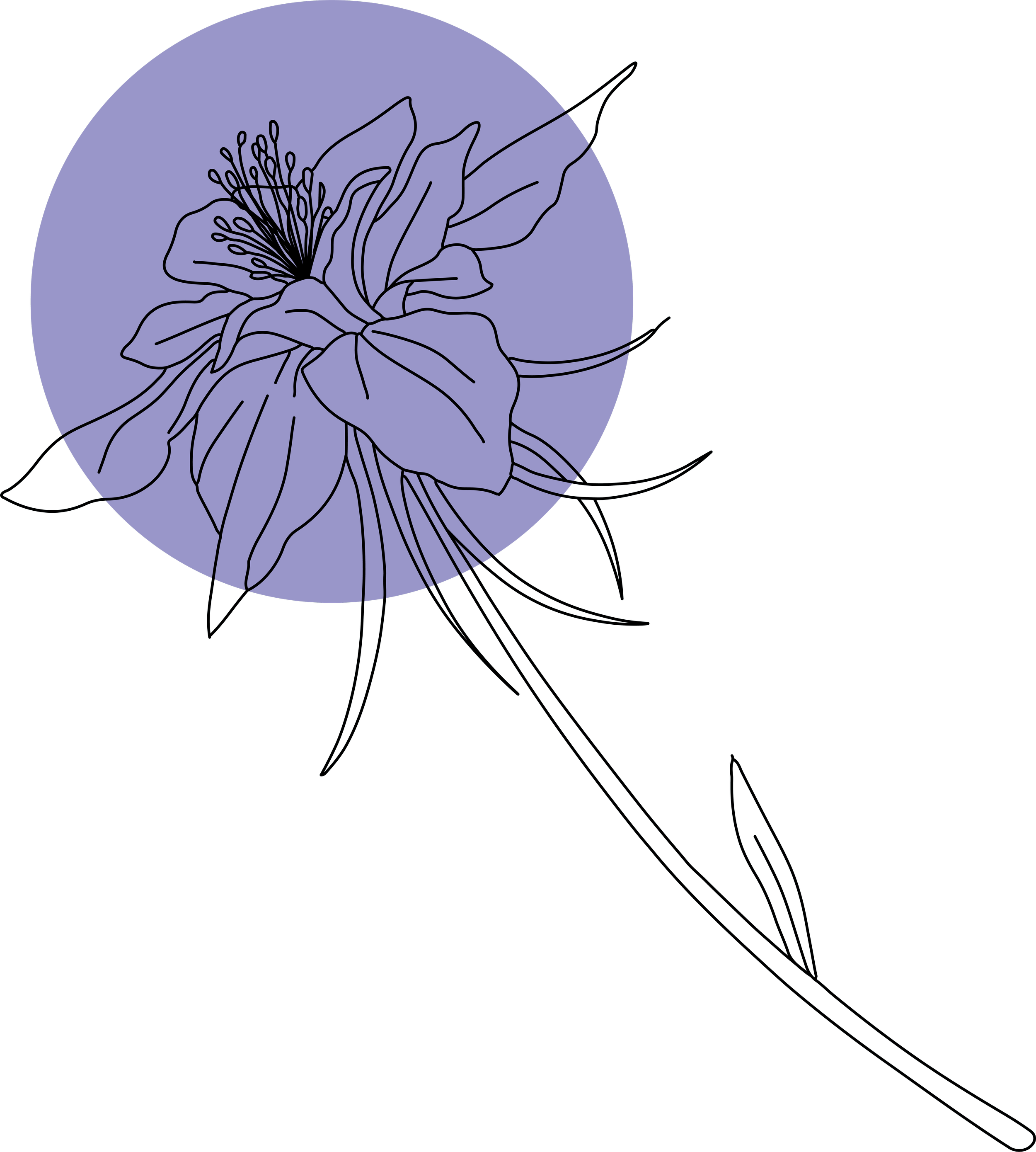 Line drawing of a flower with a purple circle in the background and minimal detail on a black background.