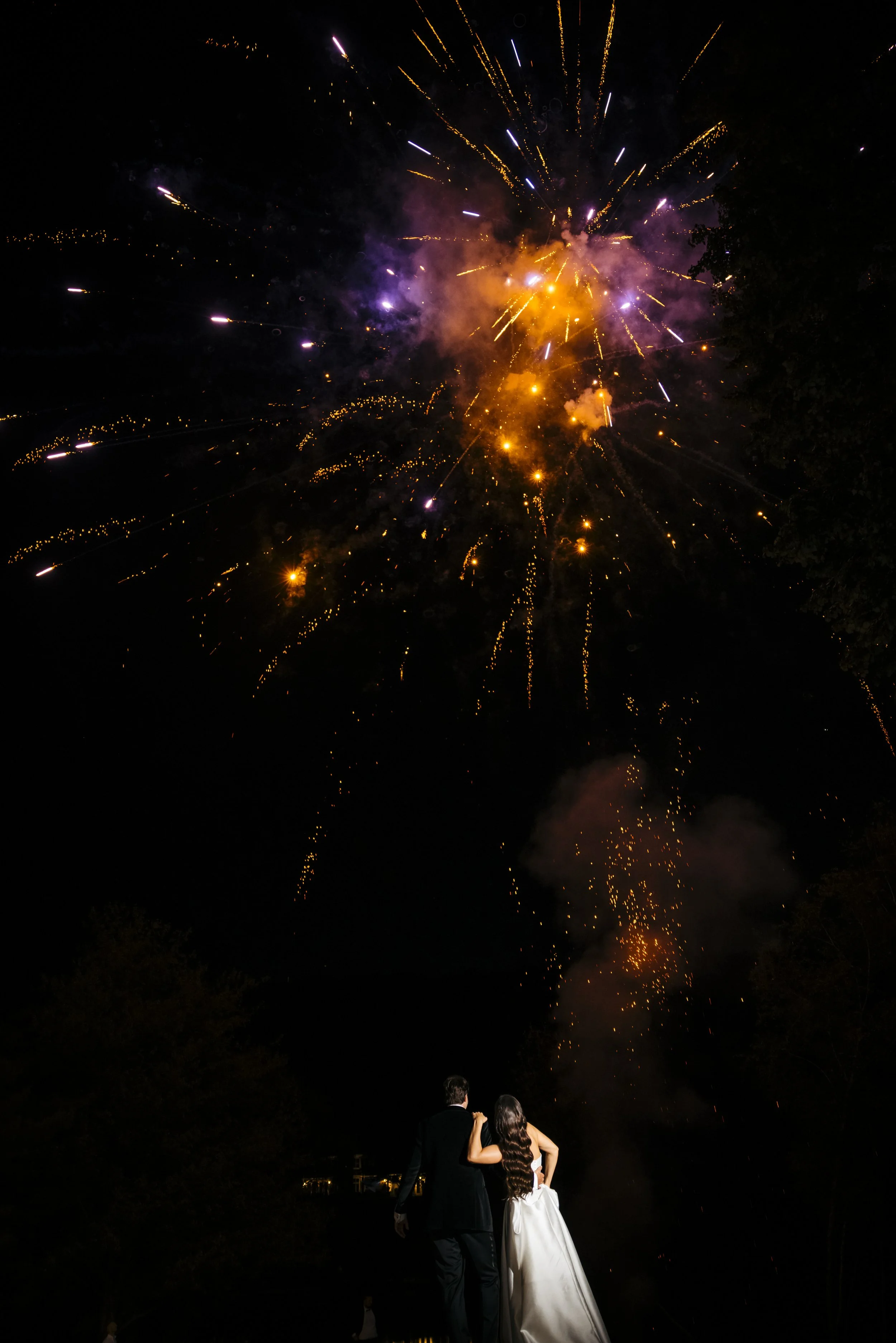 A couple, dressed in formal attire, standing under fireworks at night, silhouette against the bright display.