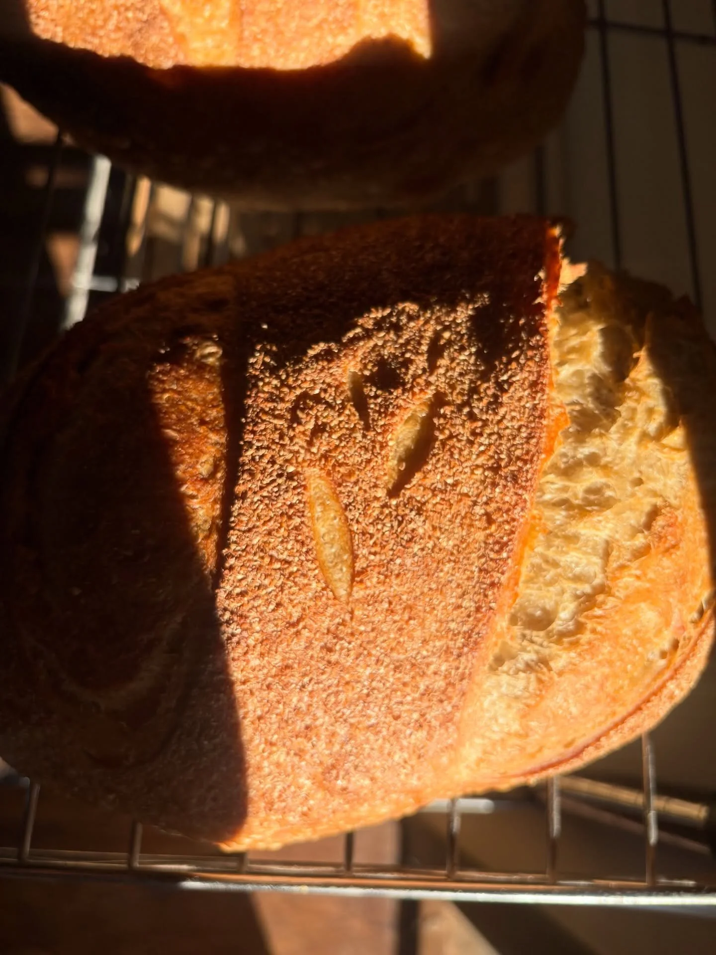 lately ✨ 📸 

#bakery #microbakery #smallbusiness #sourdough #sourdoughbread