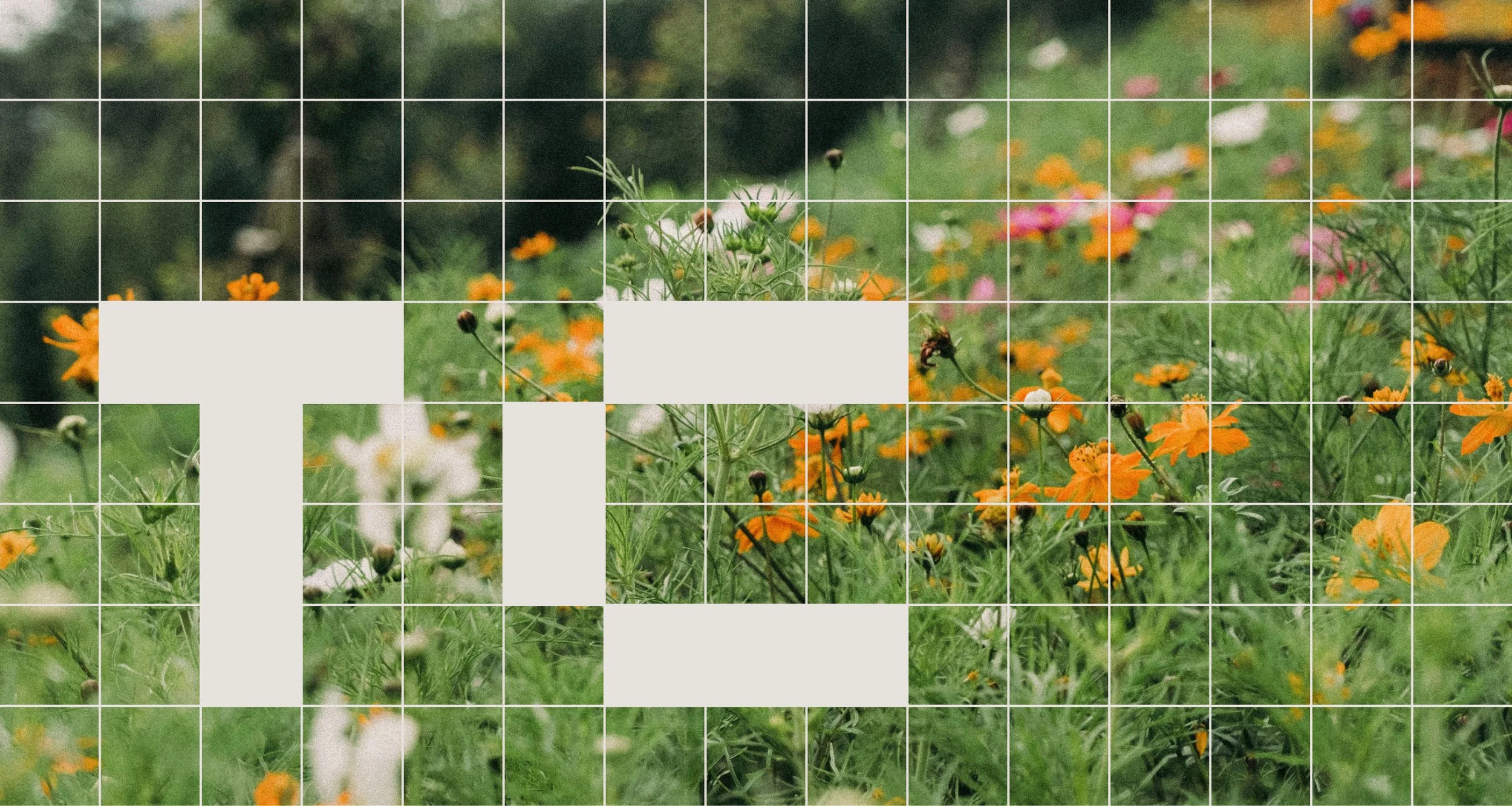  Terraform Cities  
Terraform Cities aspires to transform cities into thriving, green ecosystems that support the well-being of people and the planet.