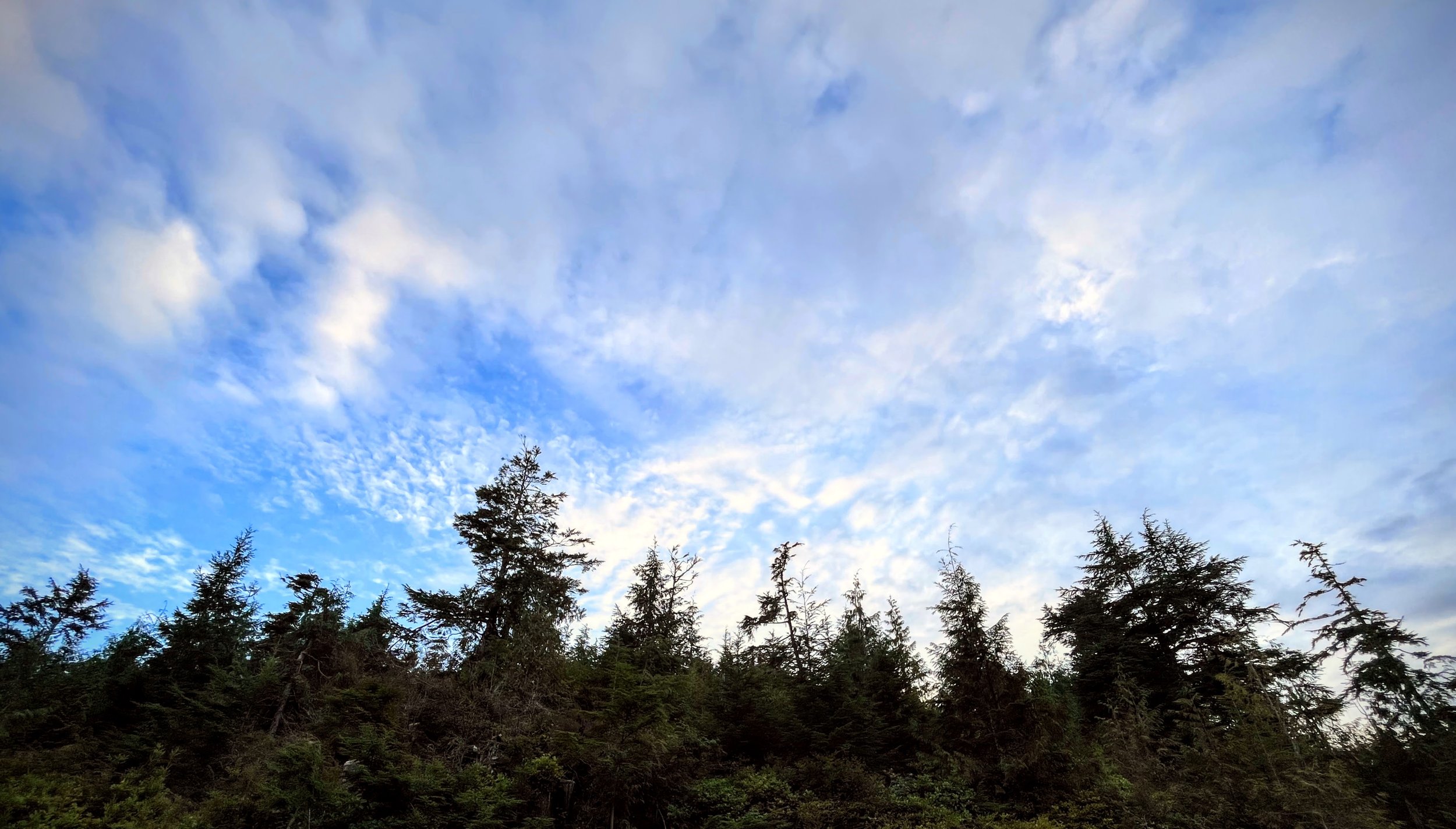 IMG_2851-EDIT.jpeg