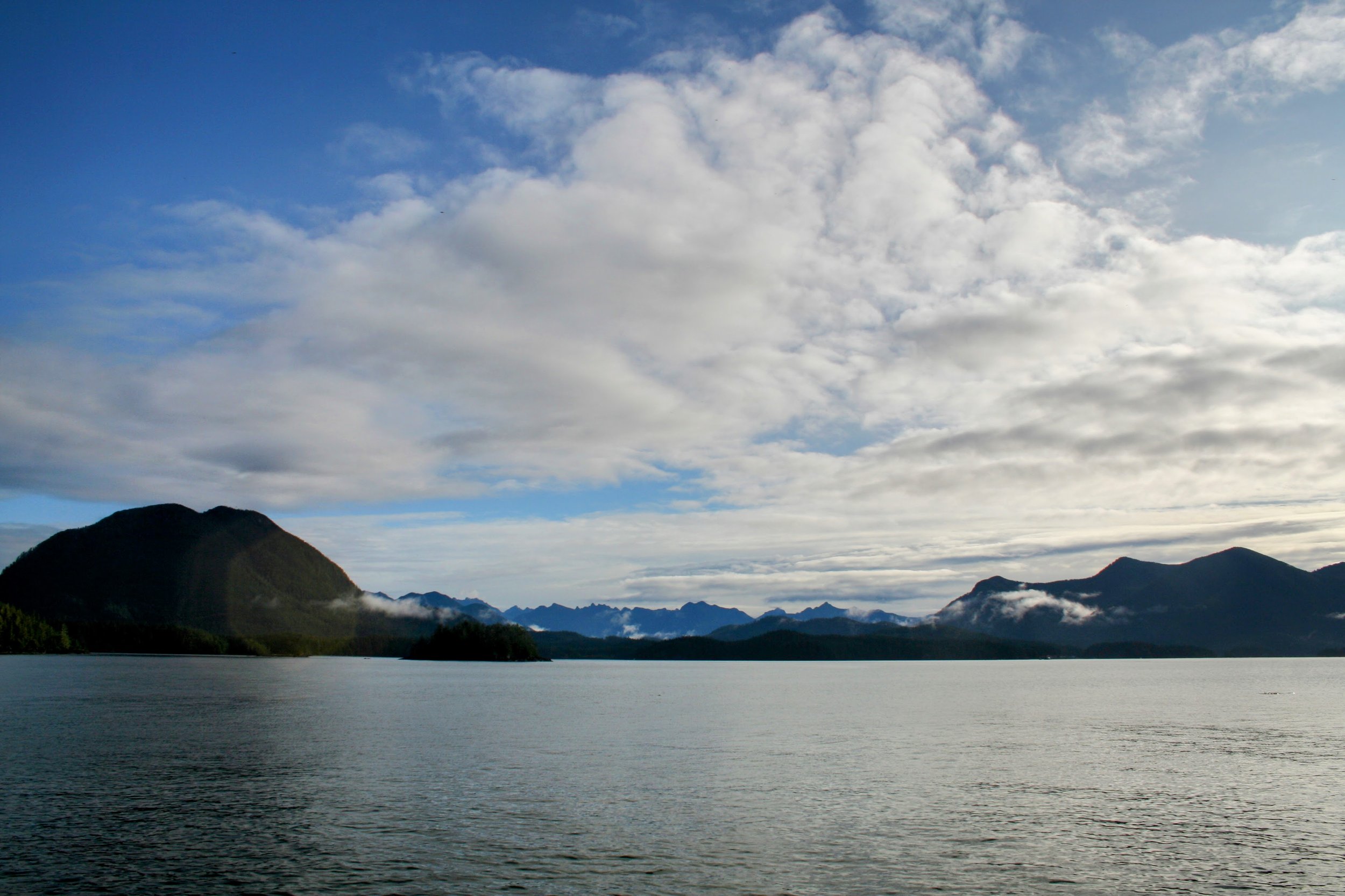IMG_3980-EDIT.jpeg