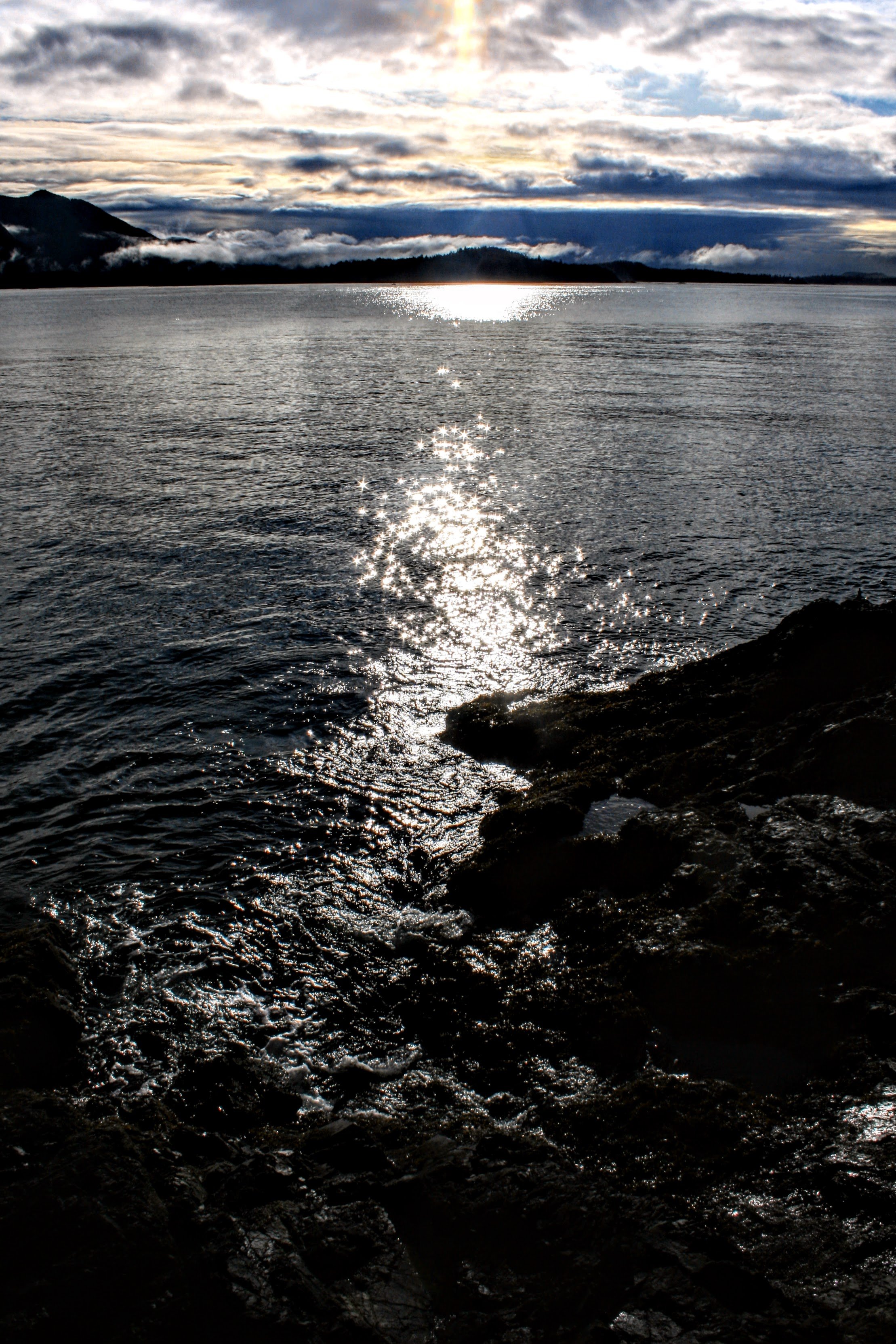 IMG_3976-EDIT.jpeg