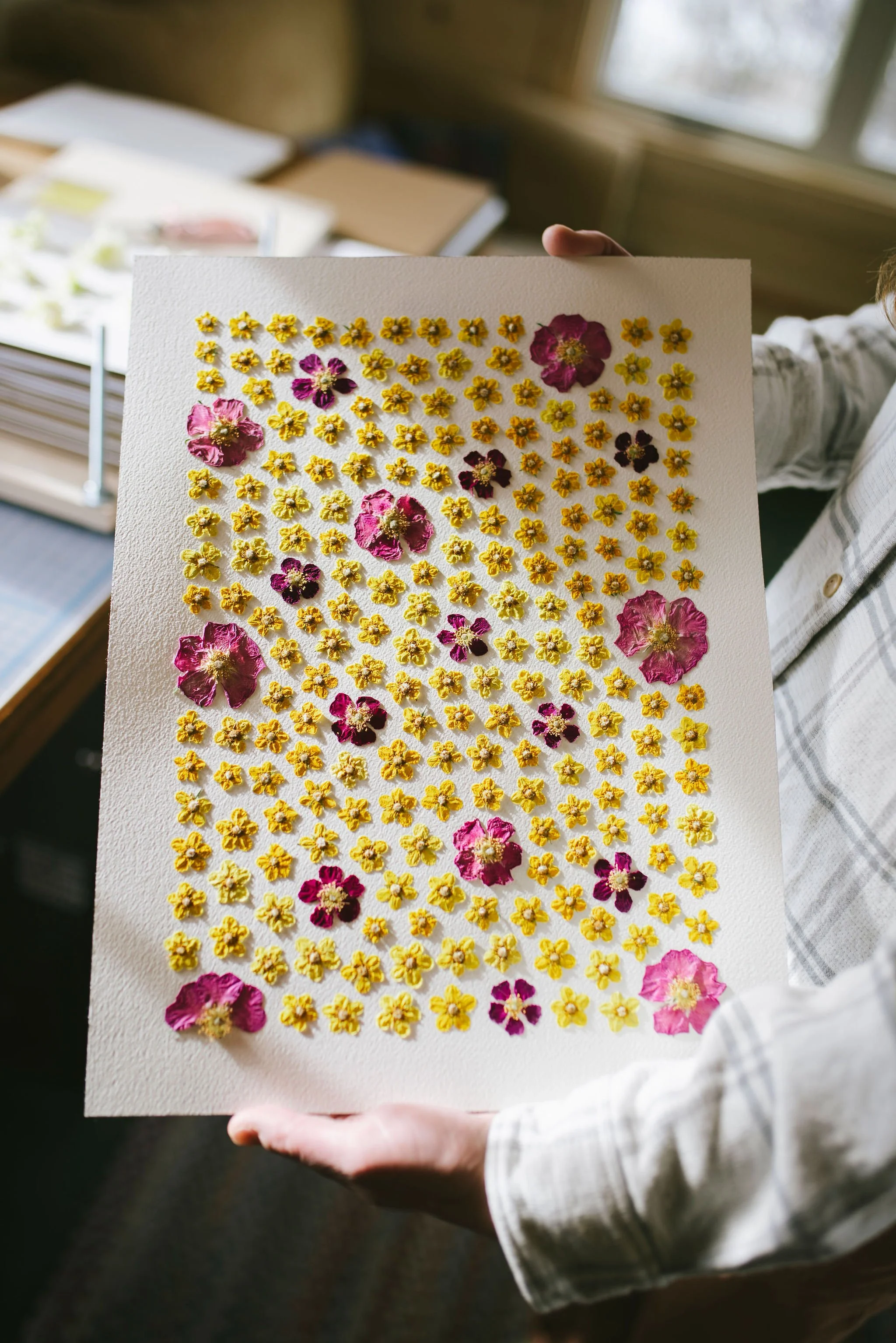 An original piece of pressed flower artwork including Buttercups and Nootka roses. The artist is holding the piece and there is natural light and shadows cast over the piece.