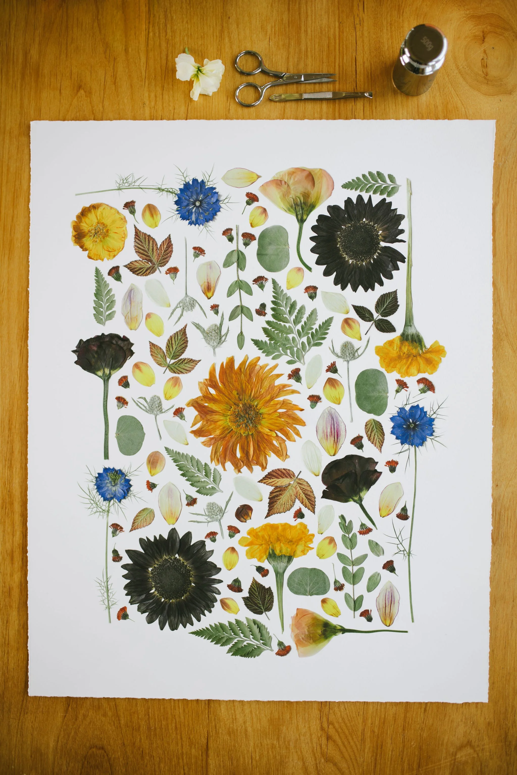 An image of a fine art print of an original pressed flower piece from a Teton Valley wedding.