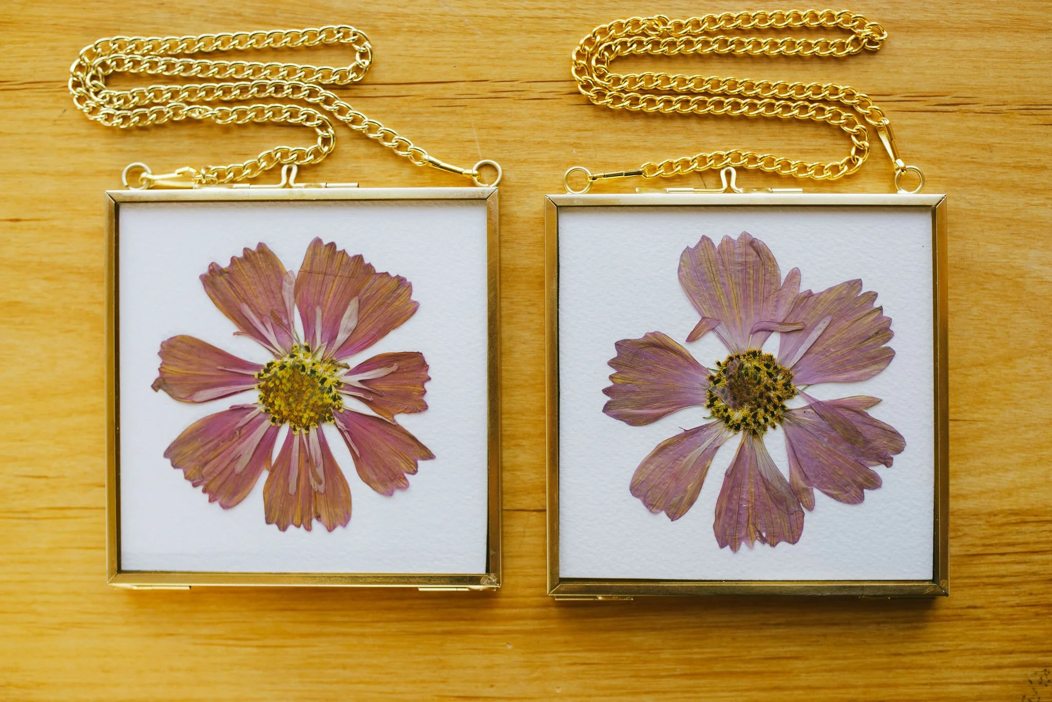 Two hanging brass frames, each with a pink cosmo flower.
