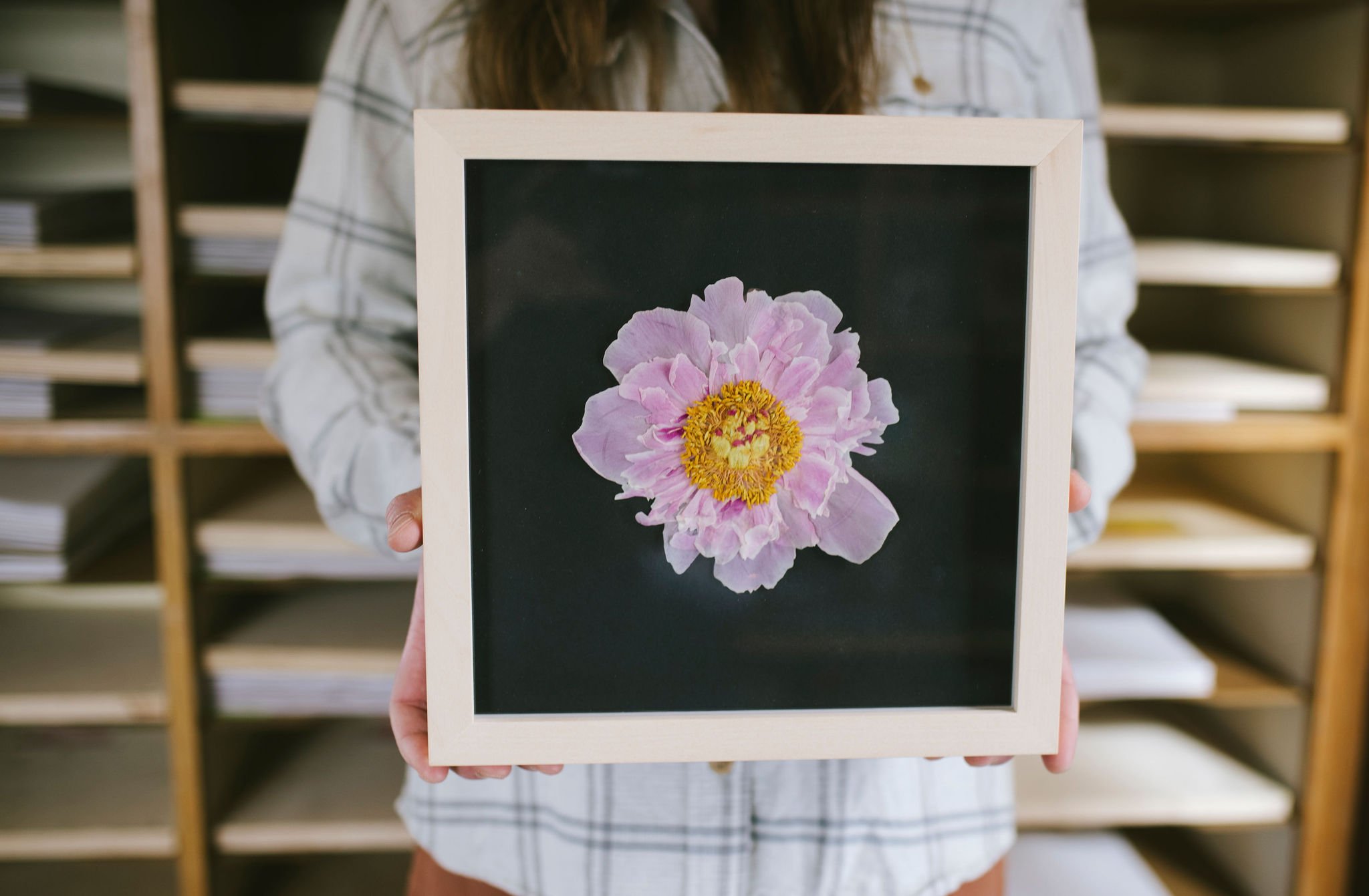 A framed pressed pink peony which the artist is holding. She is standing in front of a paper sorter, which is is how all of the finished pressed flowers are sorted.