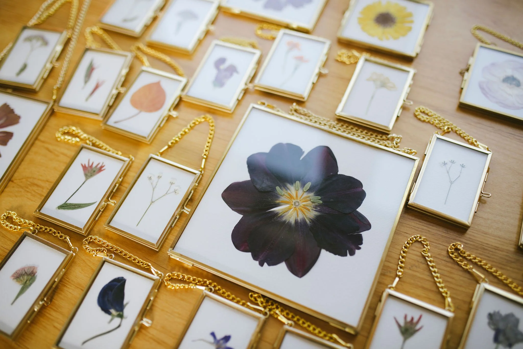 A variety of different sized brass frames with a variety of pressed flowers.