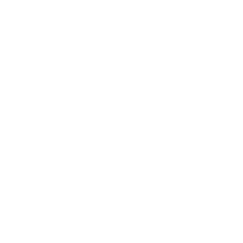 BK SECURITIES