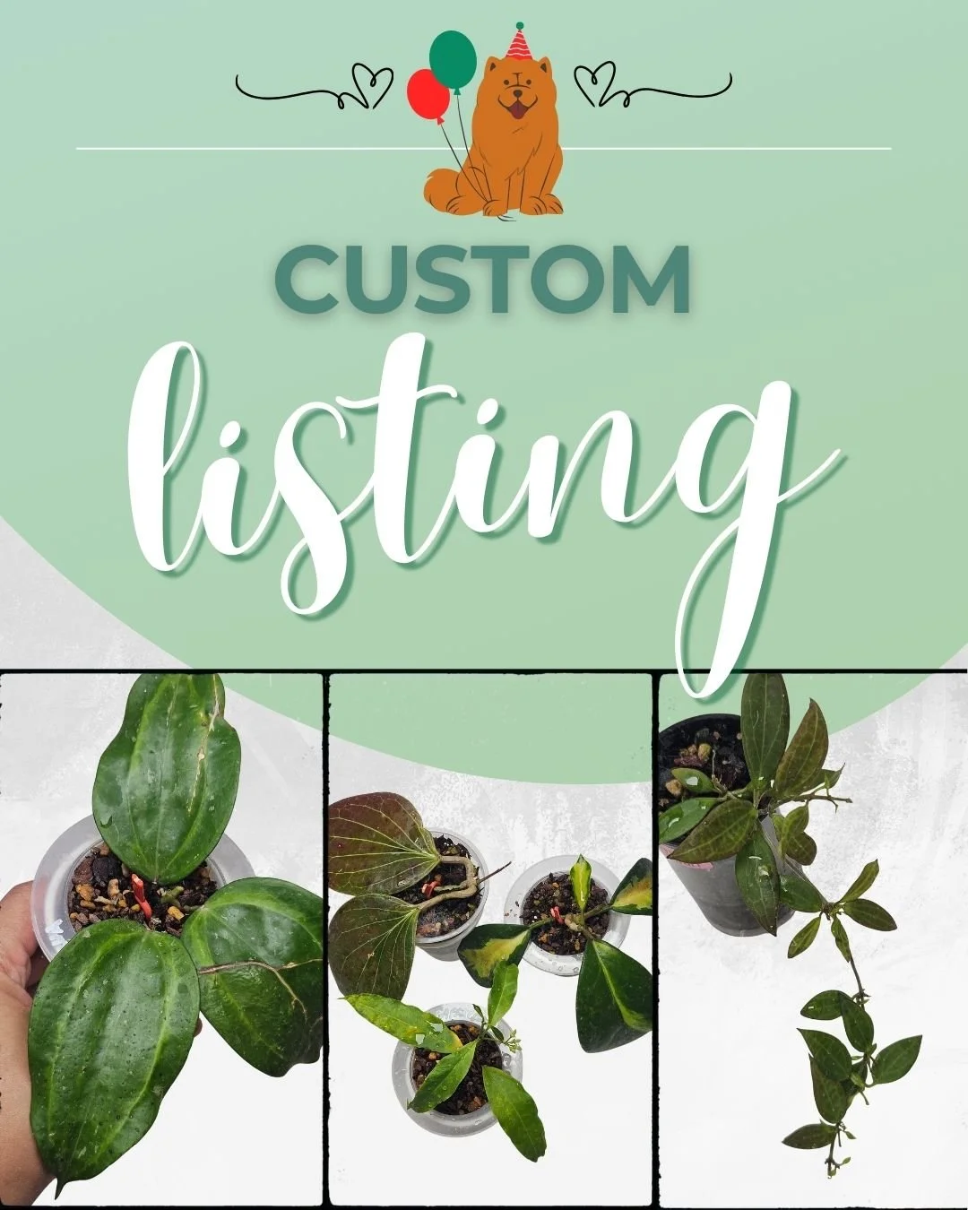 Custom Order Pack