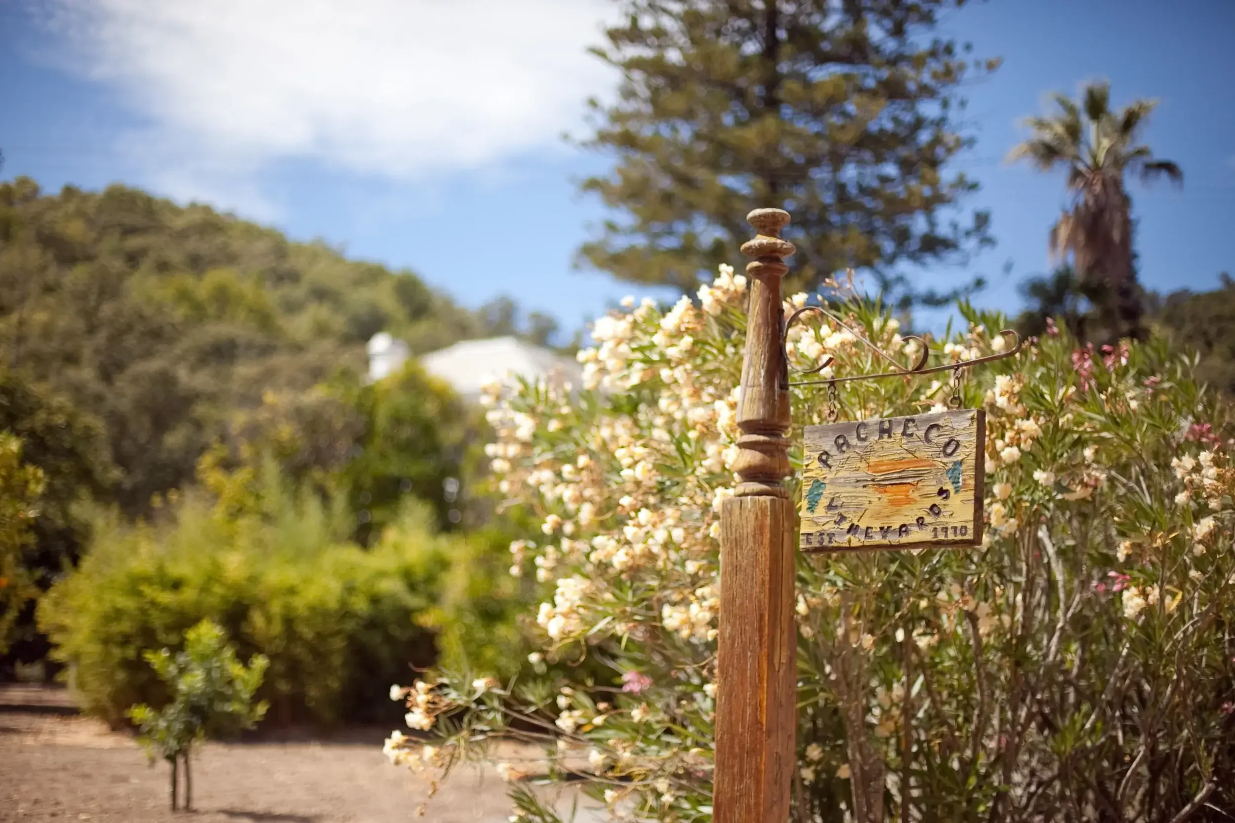 pacheco hill signage-1.webp