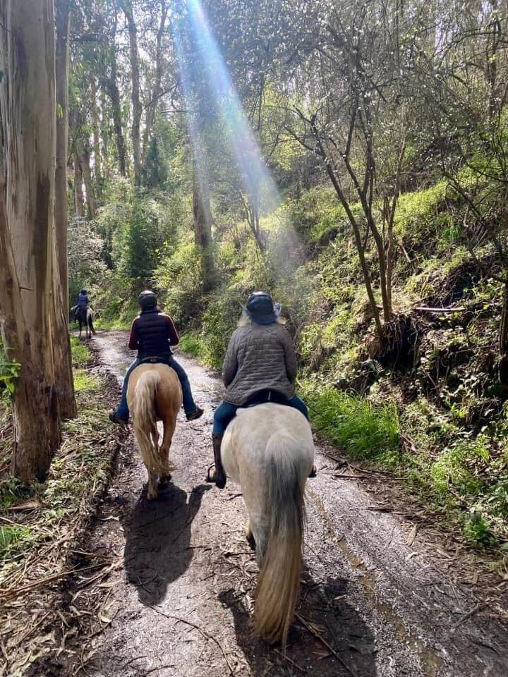 Where To Ride | Explore Trails Today — Ride Now — Marin Horse Council