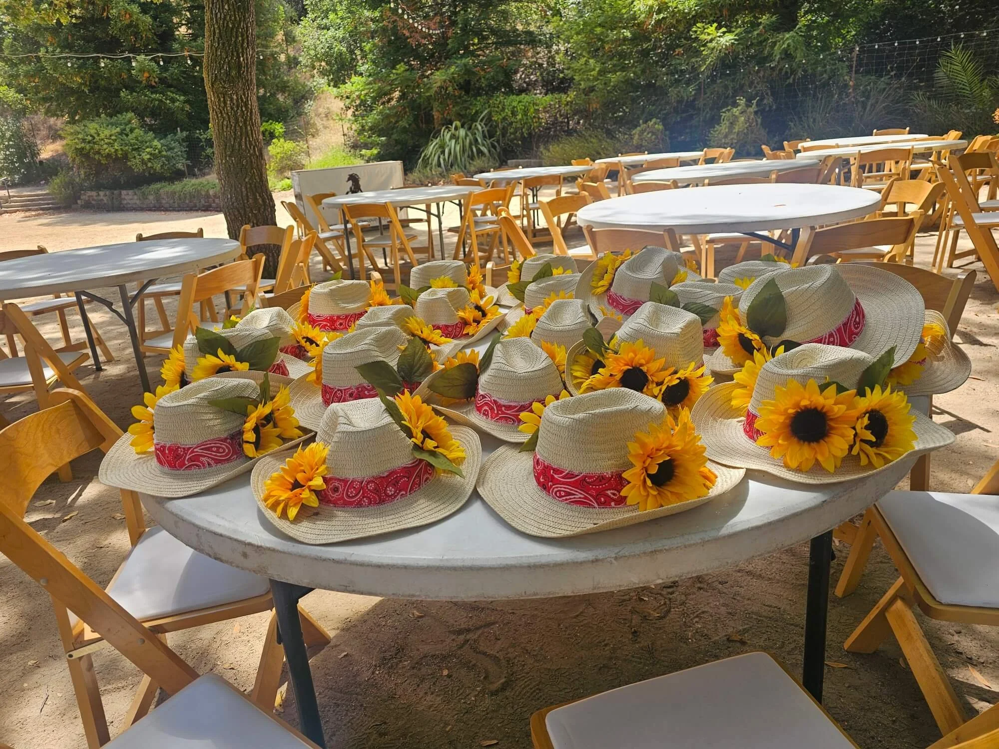 Outdoor event setup with round tables covered with white tablecloths, surrounded by wooden folding chairs, and decorated with sunflowers and straw hats with sunflowers placed on the table in the foreground, set among trees and greenery.