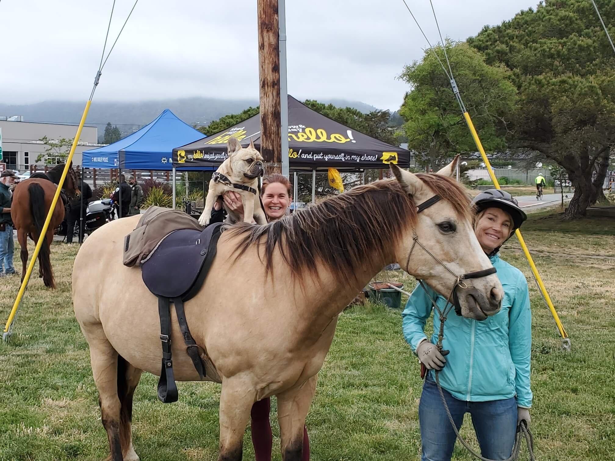 Point Reyes Horseback Riding Trail Riding | Explore Trails Safely Today — Marin Horse Council