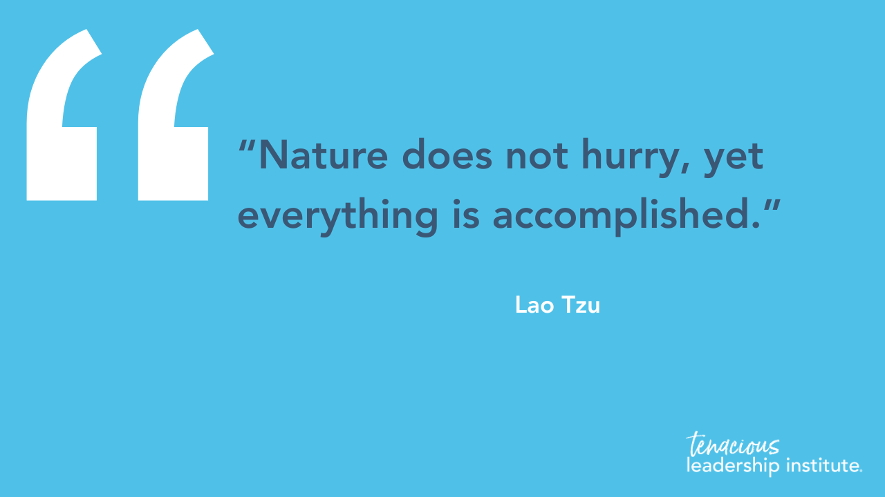 "Nature does not hurry, yet everything is accomplished." Lao Tzu