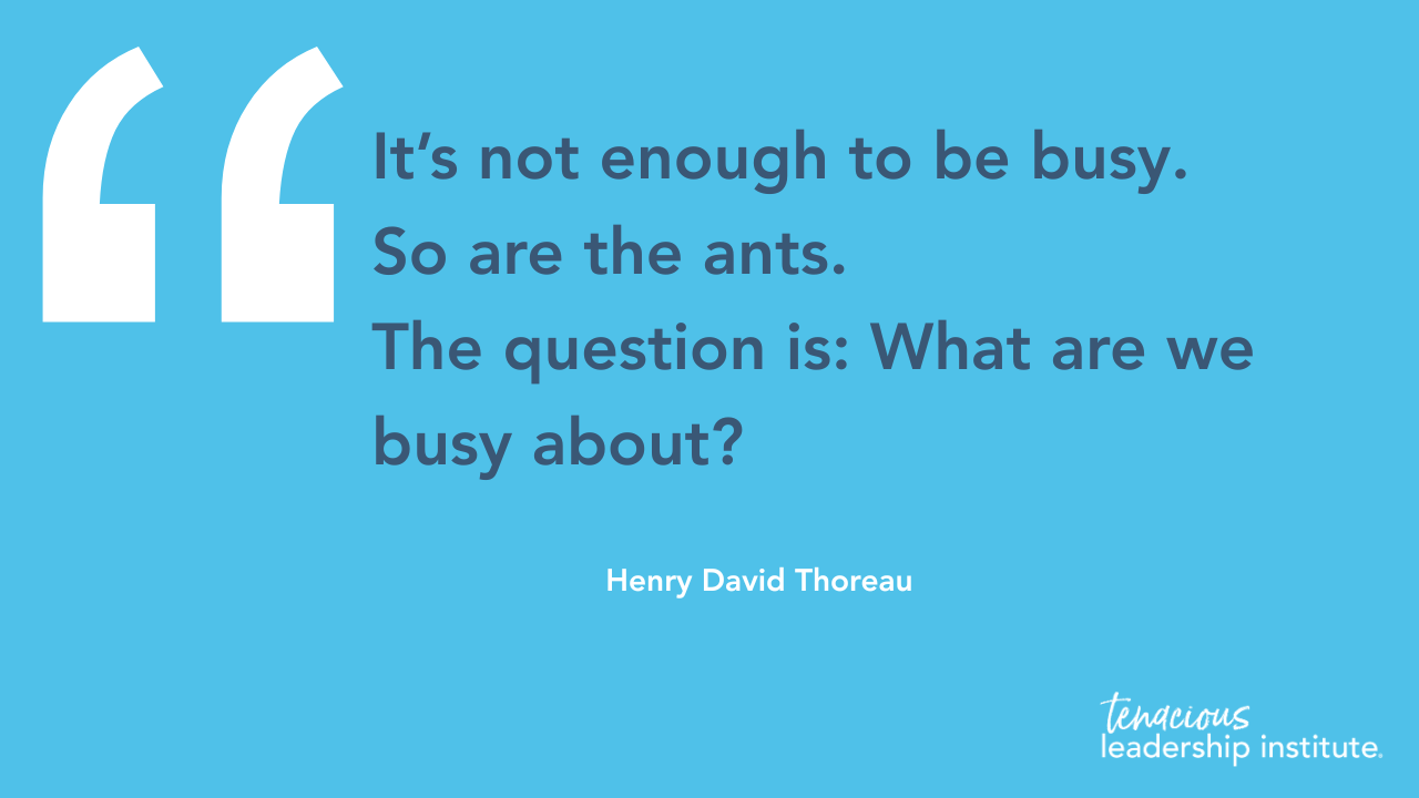 “It's not enough to be busy. So are the ants. The question is: What are we busy about?” — David Henry Thoreau