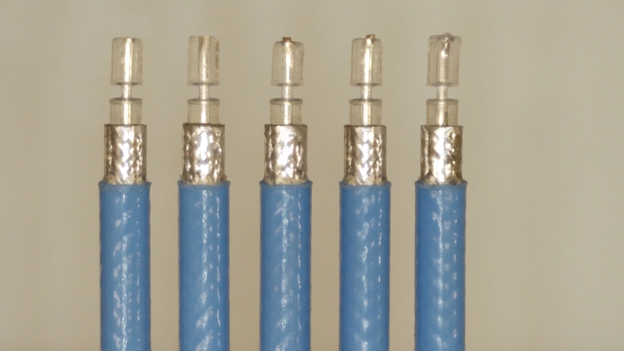 20230622_050256 copy.jpg