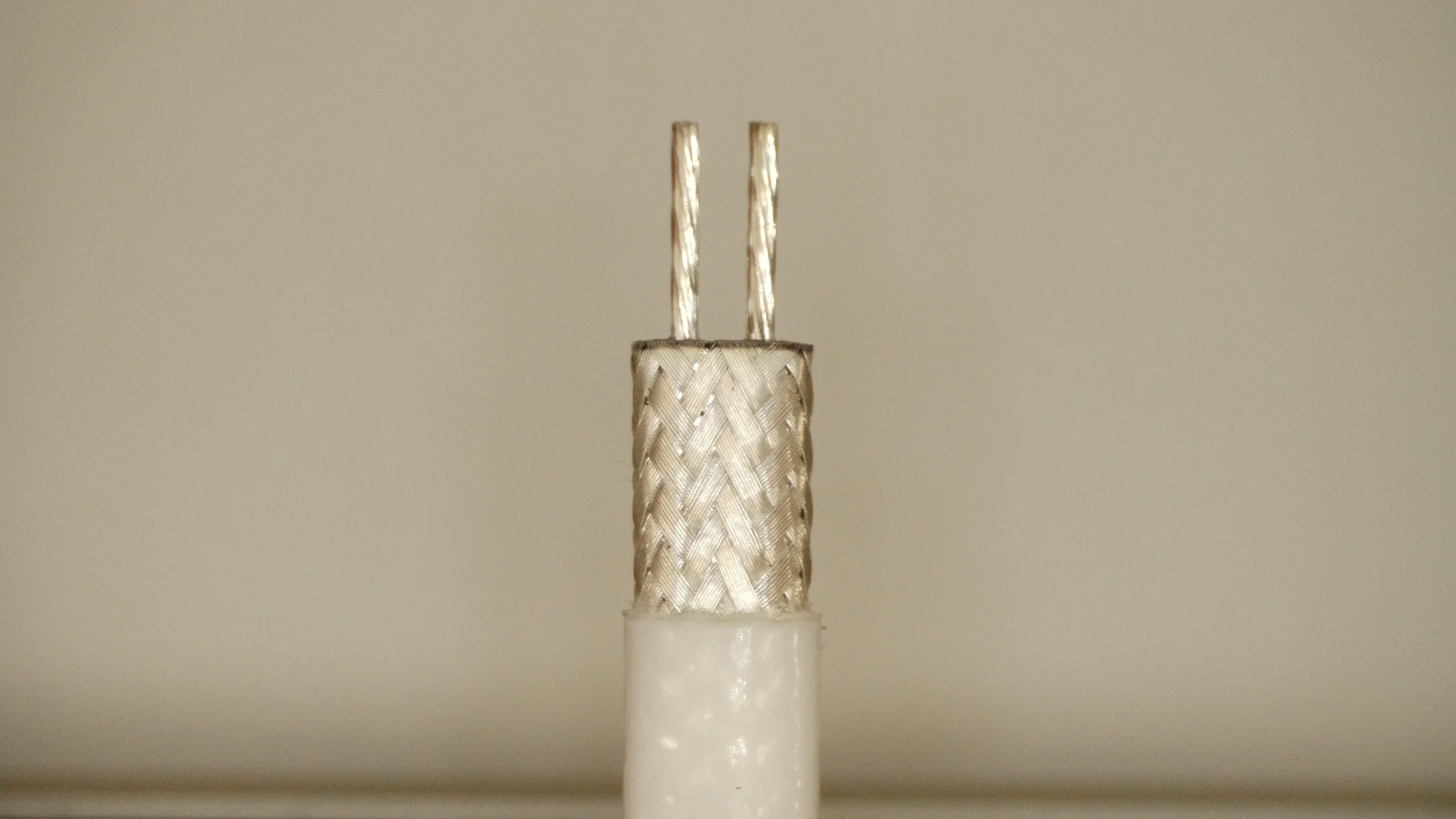 20230622_025106 copy.jpg