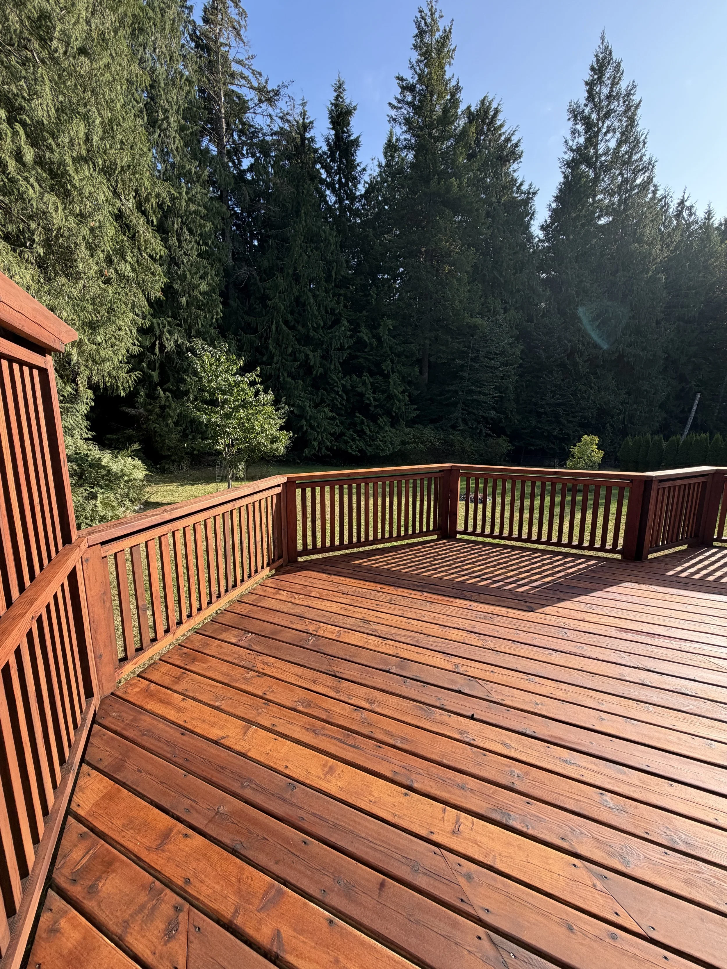 A wooden deck with a railing, overlooking a lush green forest with tall evergreen trees under a clear blue sky.