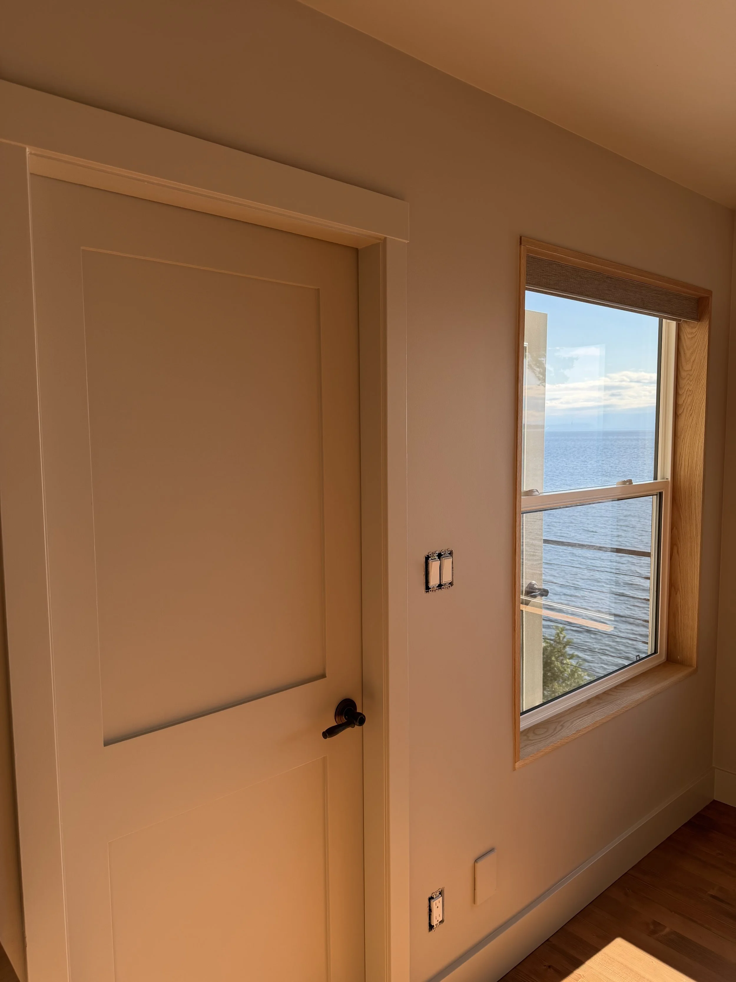 A door with a large frosted glass panel and a black handle, next to a window with a landscape view of the ocean and sky, in a room with light-colored walls and wooden trim.