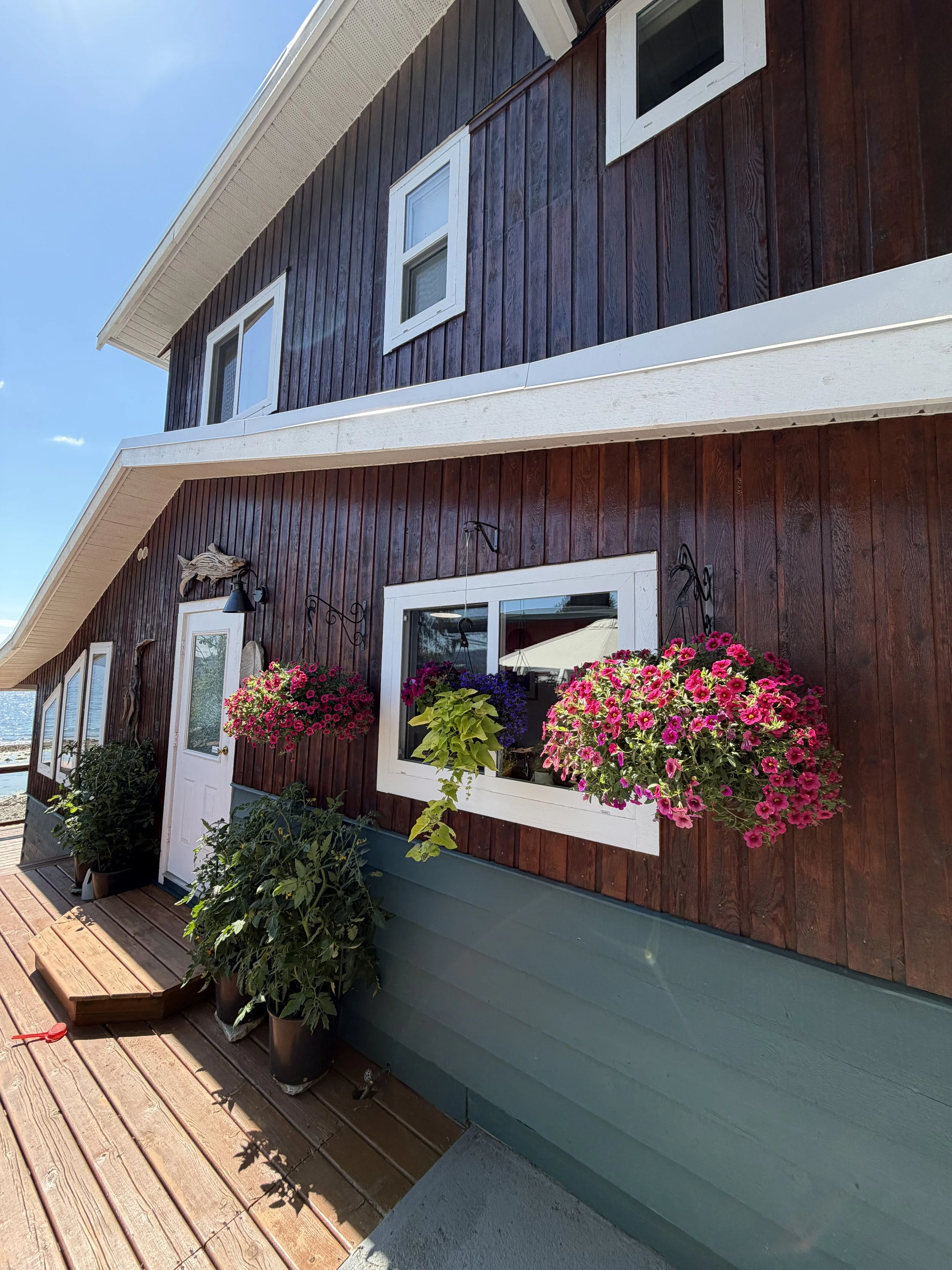 The image shows the exterior of a house with dark wood siding and white trim around the windows and door. There are two flower boxes with pink, purple, and green plants hanging beneath the windows. The house has a wooden deck in front and a clear blu