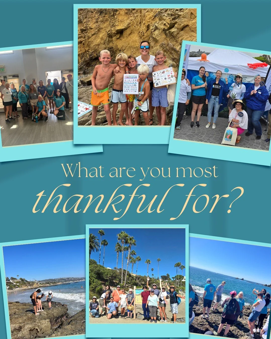 Happy Thanksgiving! We are beyond thankful for every single staff, biologist, volunteer, and intern that makes our team whole. Their passion for tidepool education is unmatched. We are also thankful for YOU! Having excited people visit the tidepools 