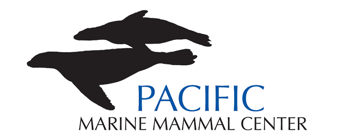 PMMC Logo Original.png