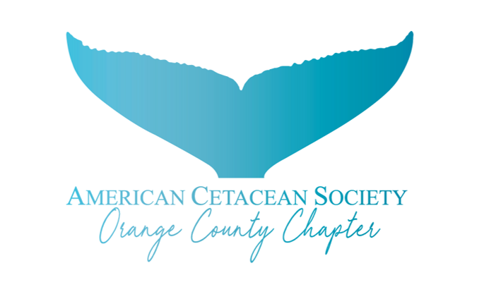 ACS Logo - cropped.png