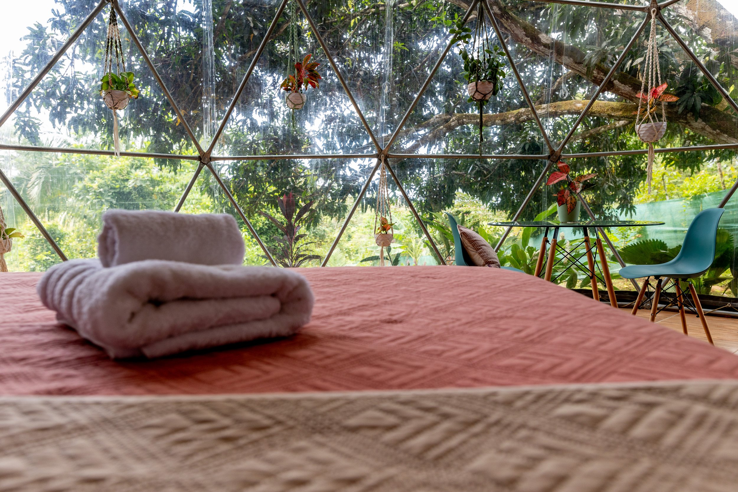 Selvatica_Dec_23_Building_Rooms-19.jpg