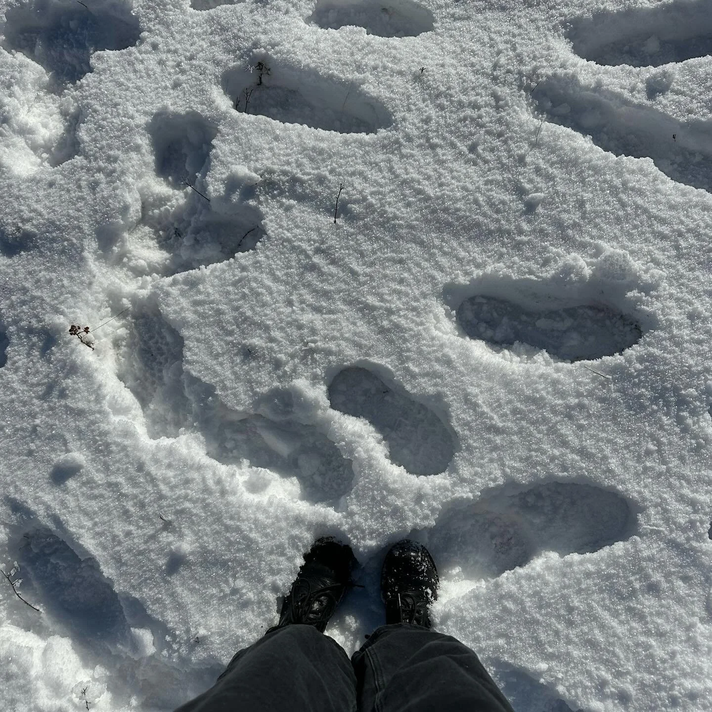 snow is fricking cool 
#thealps #picturesque #snowcappedmountains