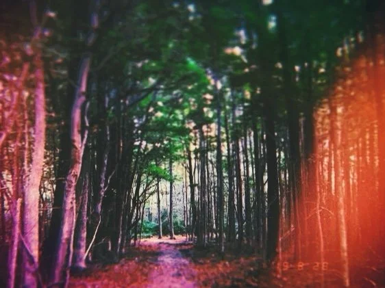 Image 12.jpg
