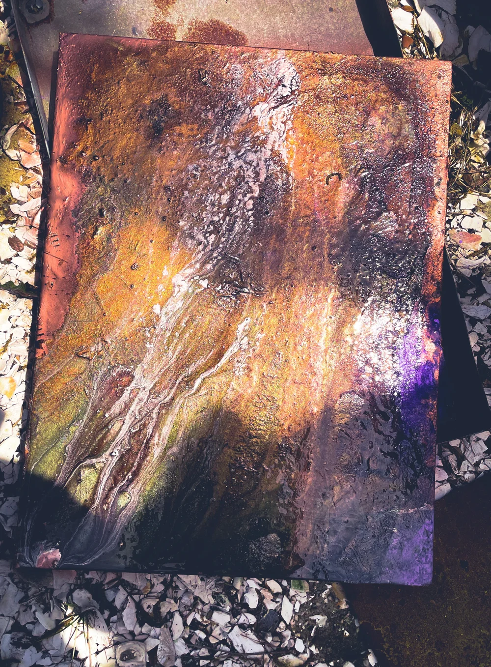 68AFF901-741D-4769-A9E3-563527CF8E3E.jpeg
