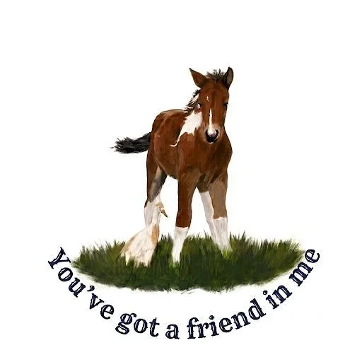 You've Got a Friend in Me vinyl magnet
