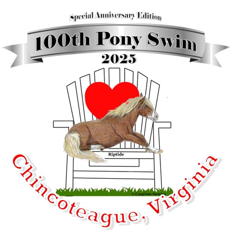 pin design.jpg