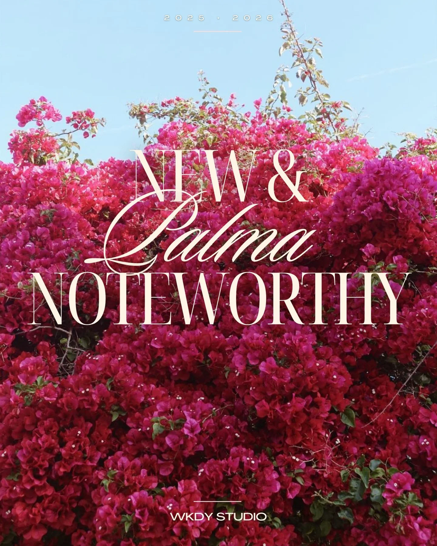 It&rsquo;s been a while since we shared what&rsquo;s new and noteworthy in Palma!

So, let&rsquo;s celebrate all the places that have opened since our last N&amp;N post in 2025, plus a few gems to look forward to opening this spring of 2026!

🌺🌺🌺?