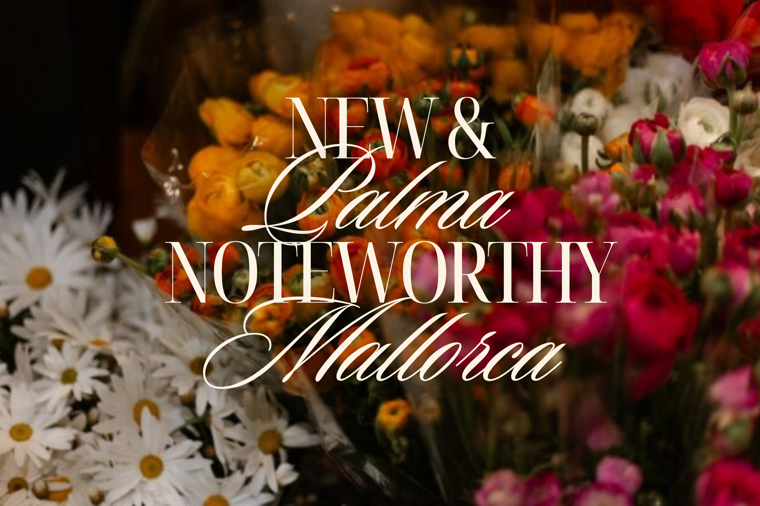 The Newest + Most Noteworthy Places in Palma &amp; Mallorca